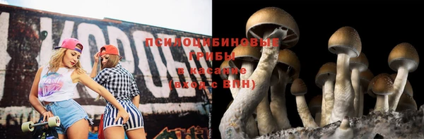 ALPHA PVP Вяземский