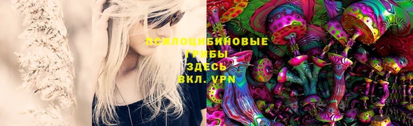 ALPHA PVP Вяземский