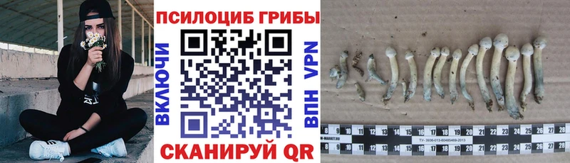 Галлюциногенные грибы Magic Shrooms цены Муром